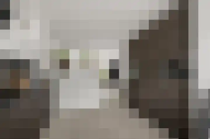 De Veenderij 26 Nieuwkoop thumbnail 14