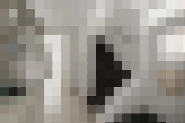 De Veenderij 26 Nieuwkoop thumbnail 16