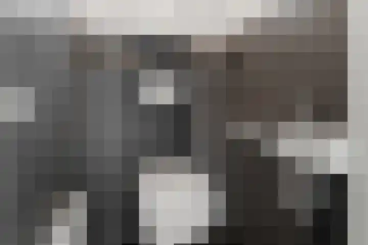 De Veenderij 26 Nieuwkoop thumbnail 17