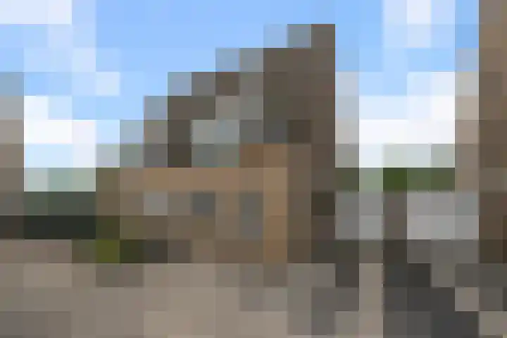De Veenderij 26 Nieuwkoop foto 2