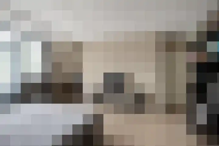 De Veenderij 26 Nieuwkoop thumbnail 21