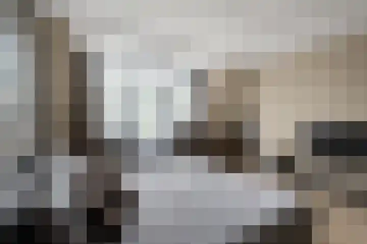 De Veenderij 26 Nieuwkoop thumbnail 22
