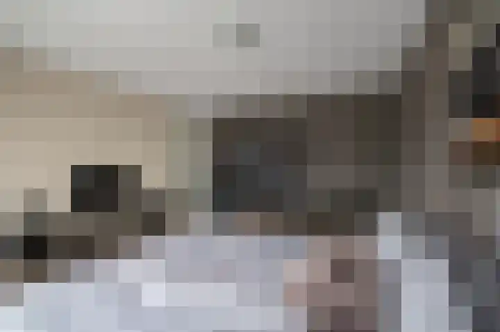 De Veenderij 26 Nieuwkoop thumbnail 24
