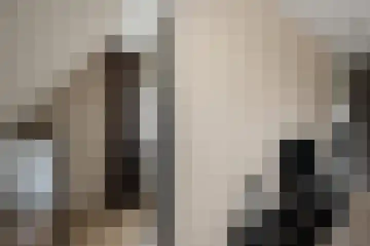 De Veenderij 26 Nieuwkoop thumbnail 25