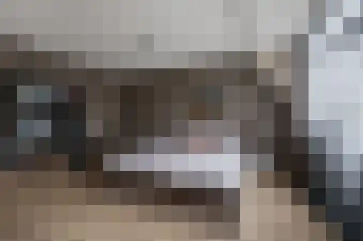 De Veenderij 26 Nieuwkoop thumbnail 28