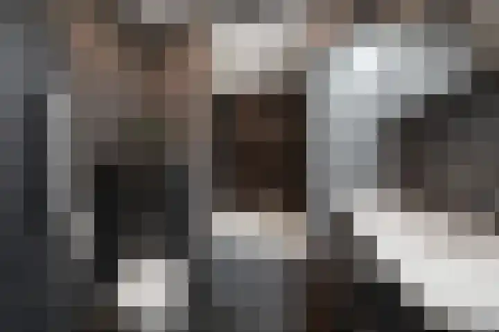 De Veenderij 26 Nieuwkoop thumbnail 30