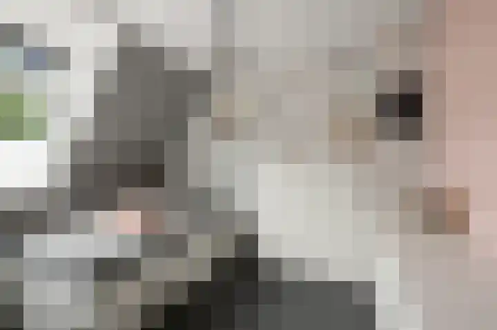 De Veenderij 26 Nieuwkoop thumbnail 34