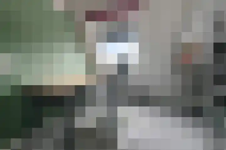 De Veenderij 26 Nieuwkoop thumbnail 45