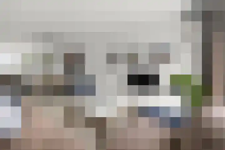 De Veenderij 26 Nieuwkoop thumbnail 5