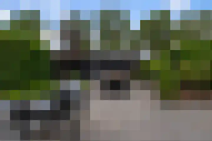 De Veenderij 26 Nieuwkoop thumbnail 51