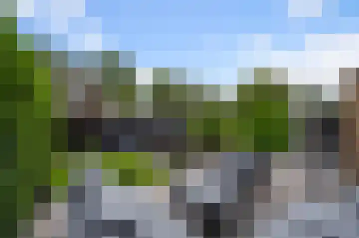 De Veenderij 26 Nieuwkoop thumbnail 54