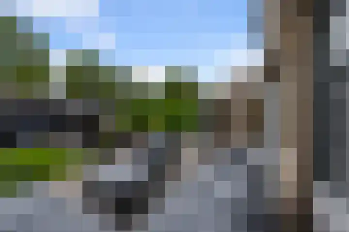 De Veenderij 26 Nieuwkoop thumbnail 55