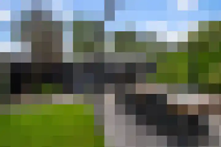 De Veenderij 26 Nieuwkoop thumbnail 56