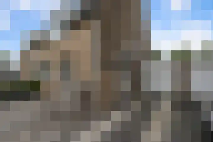 De Veenderij 26 Nieuwkoop thumbnail 58
