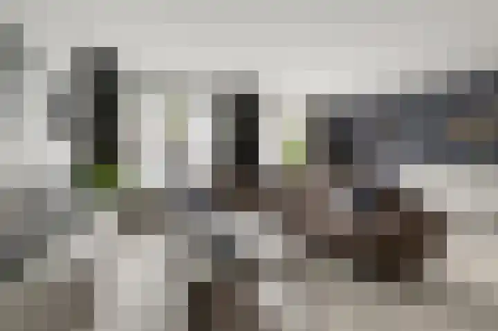 De Veenderij 26 Nieuwkoop thumbnail 8