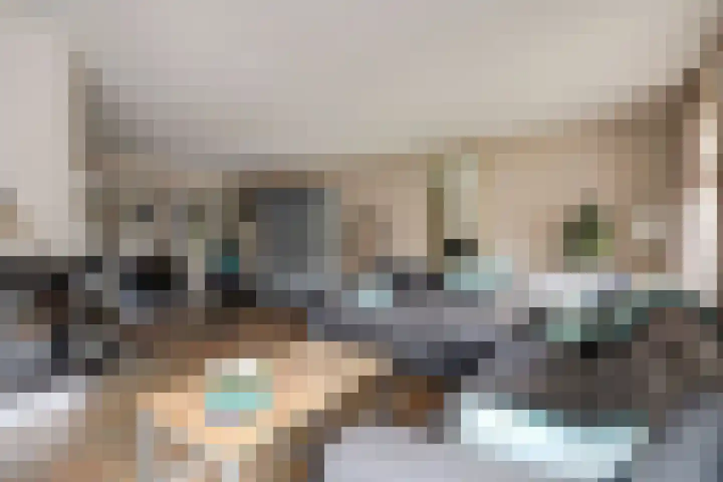 de Veenen 1 Mariënheem thumbnail 12