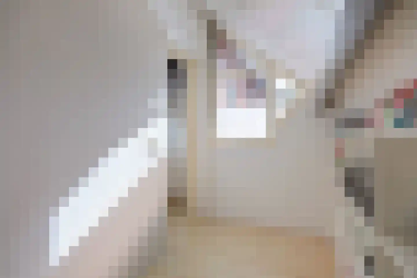 de Veenen 1 Mariënheem thumbnail 35