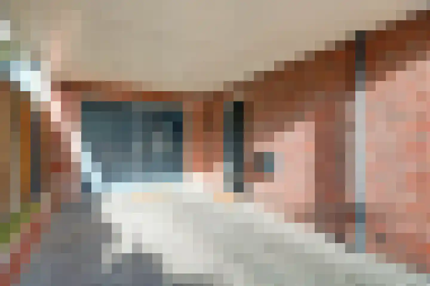 de Veenen 1 Mariënheem thumbnail 7