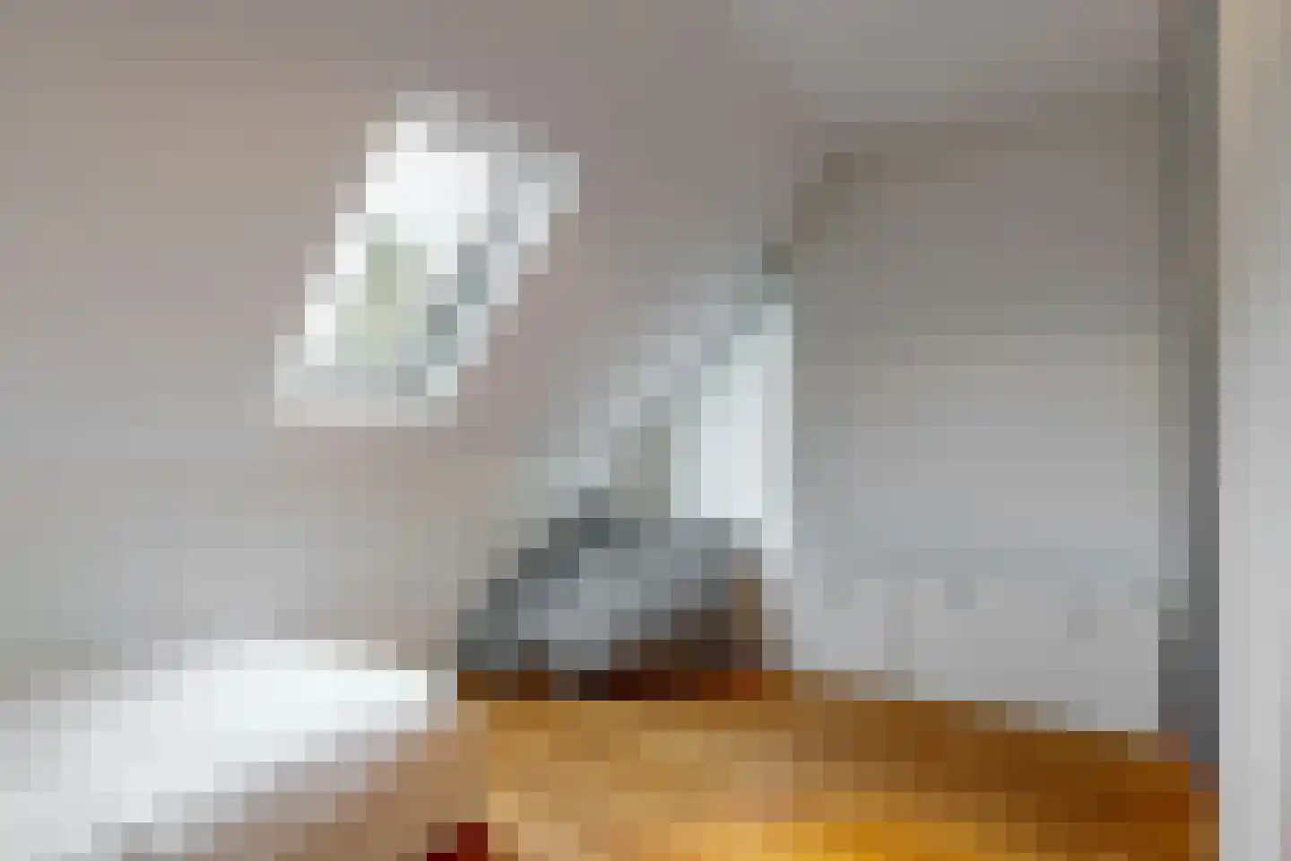 De Veenhoop 11 Berkhout thumbnail 18