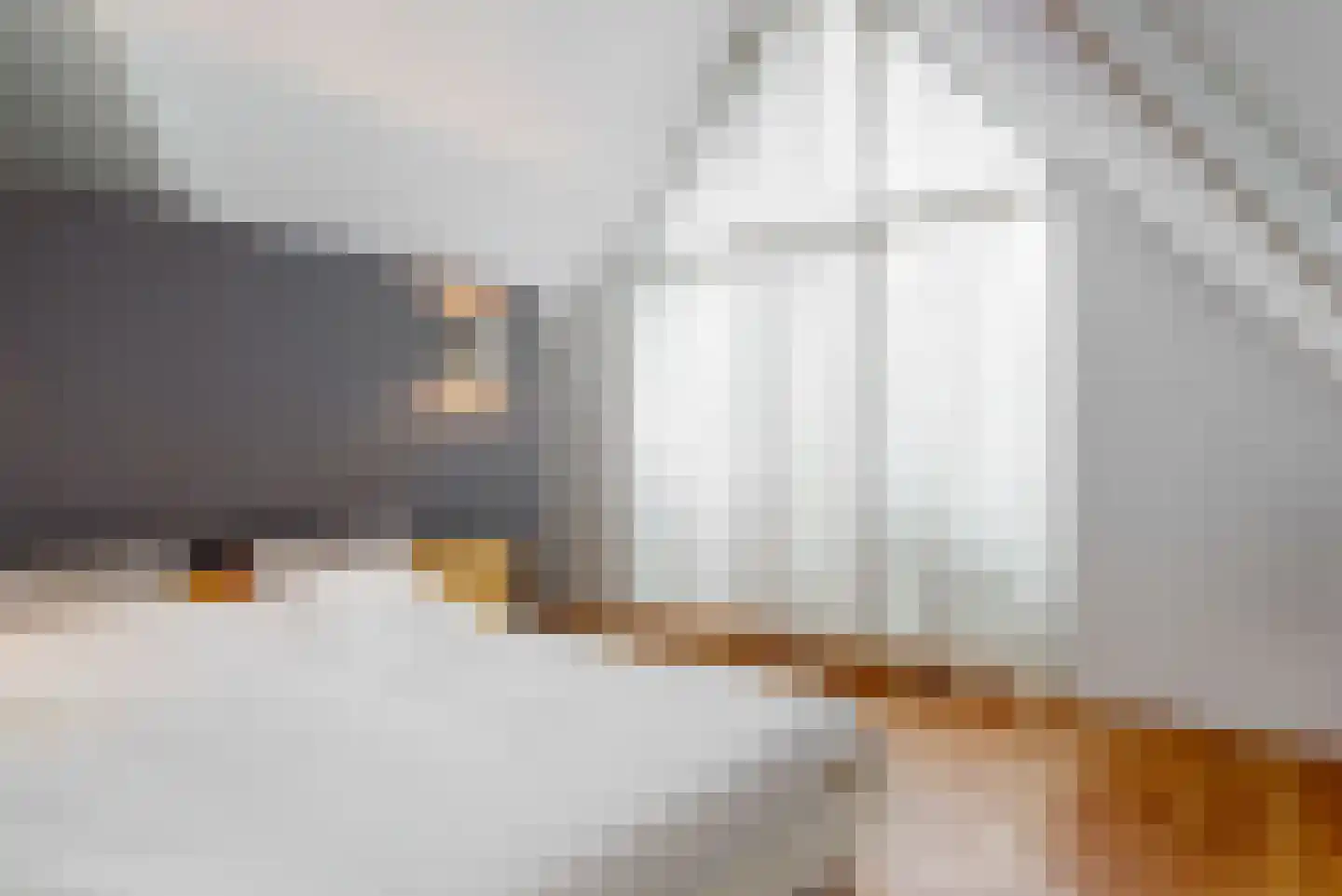 De Veenhoop 11 Berkhout thumbnail 23