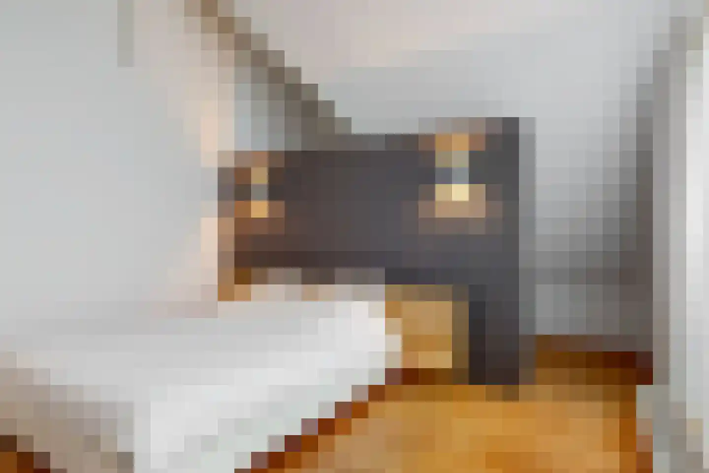 De Veenhoop 11 Berkhout thumbnail 24