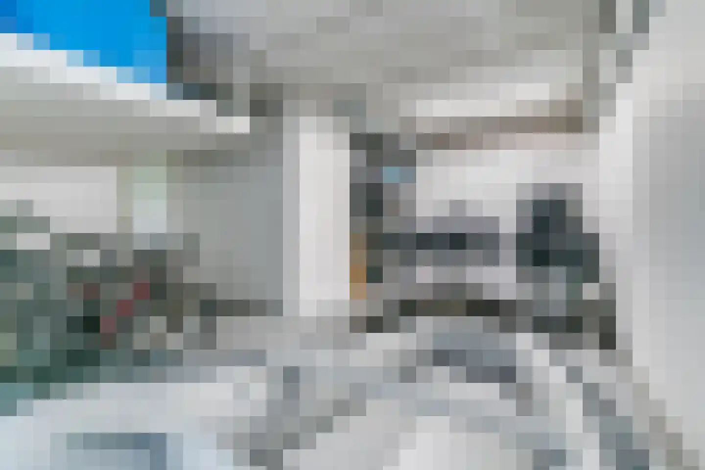 De Veenhoop 11 Berkhout thumbnail 30