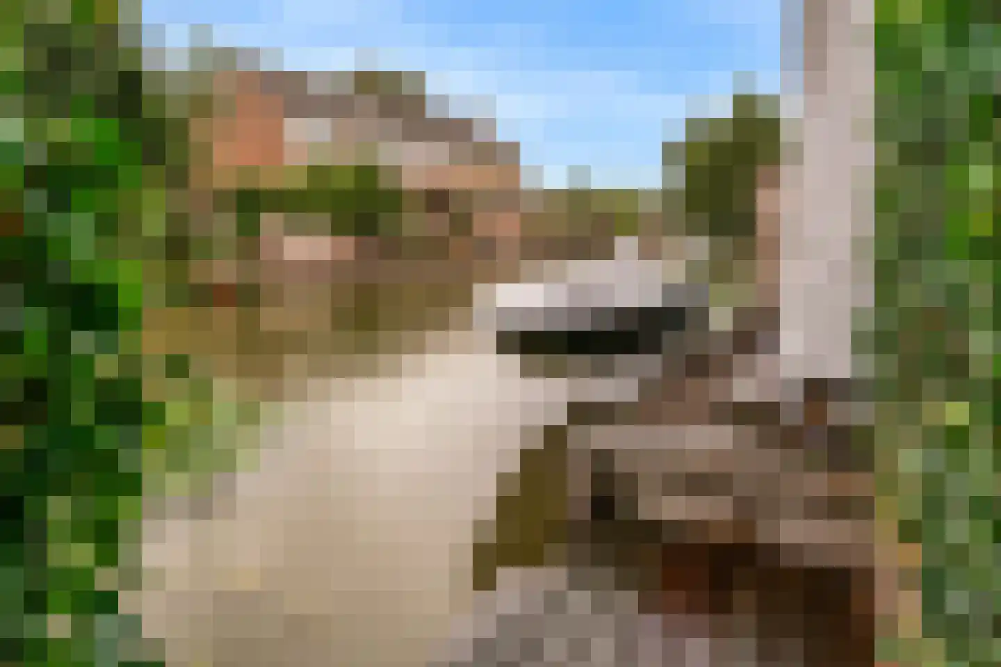 De Veenhoop 11 Berkhout thumbnail 35
