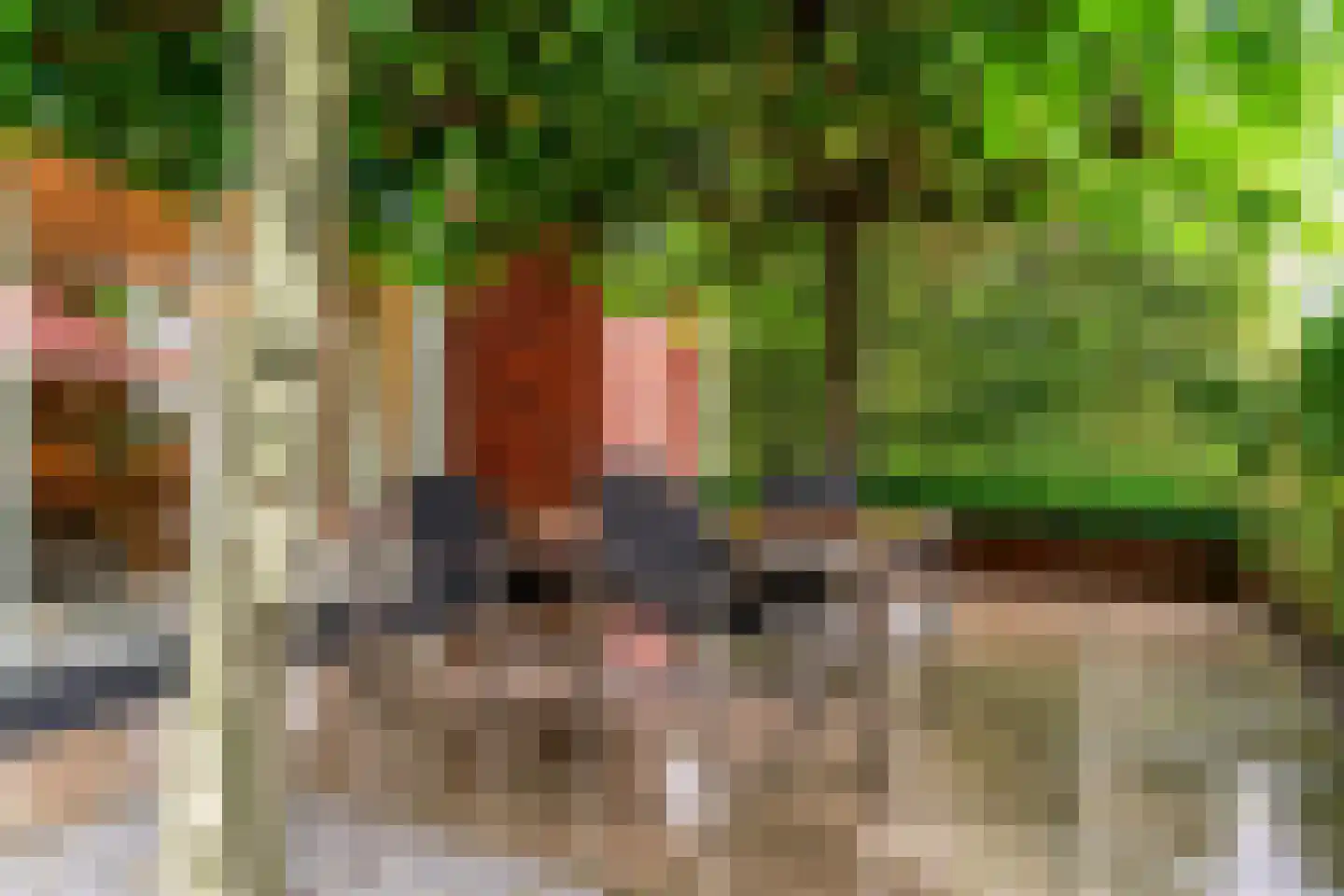 De Veenhoop 11 Berkhout thumbnail 38
