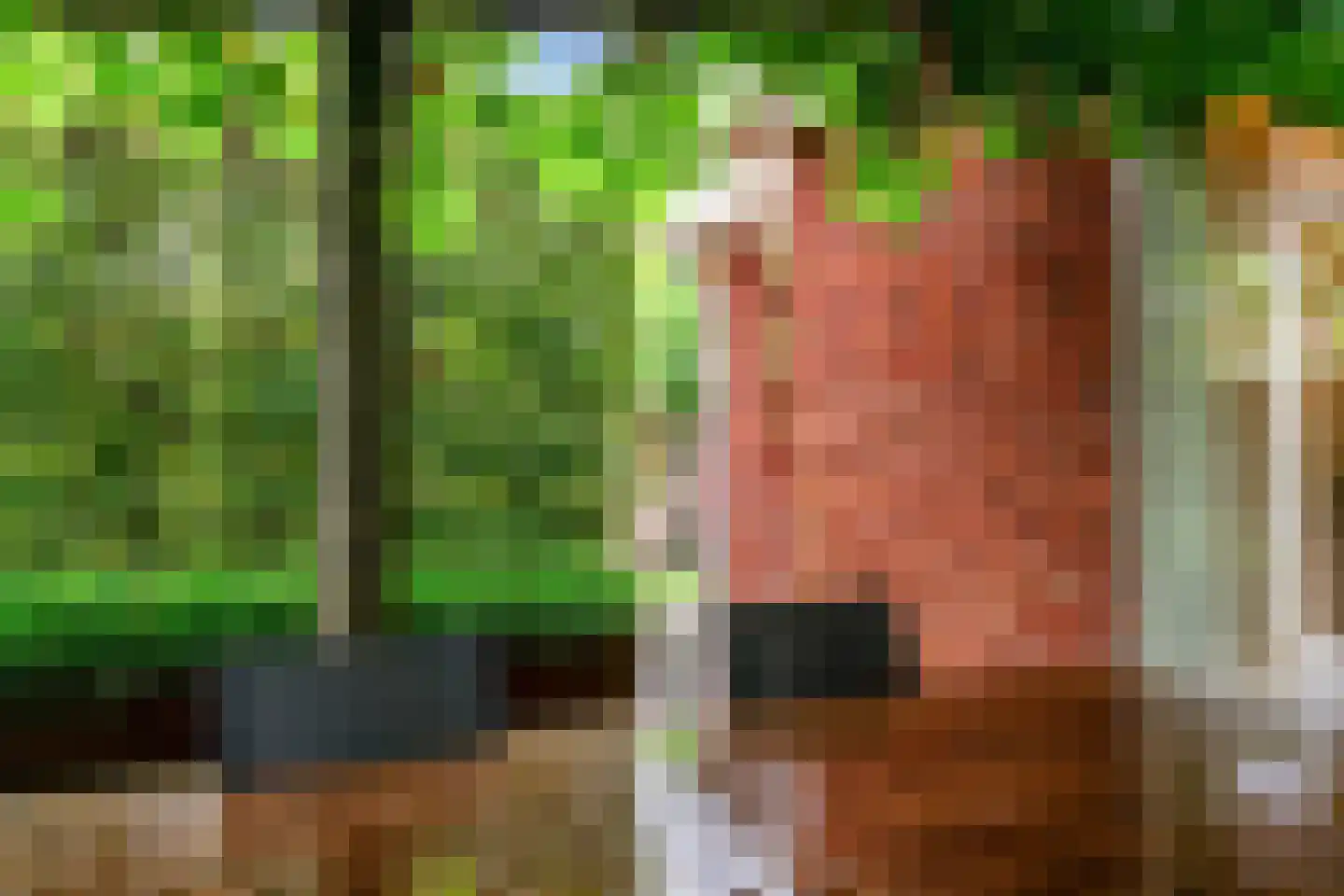 De Veenhoop 11 Berkhout thumbnail 40