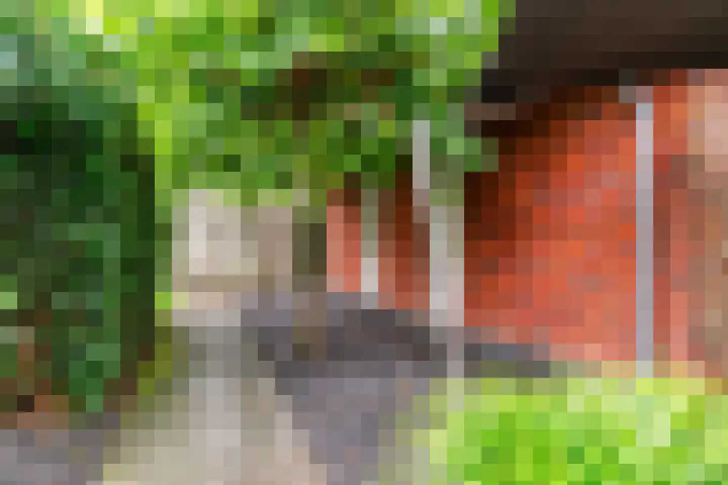 De Veenhoop 11 Berkhout thumbnail 41