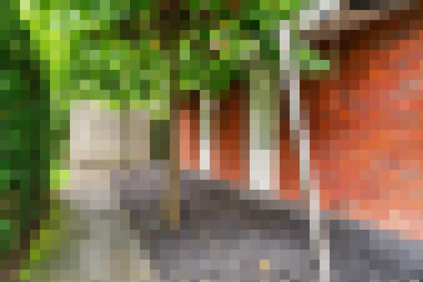 De Veenhoop 11 Berkhout thumbnail 42