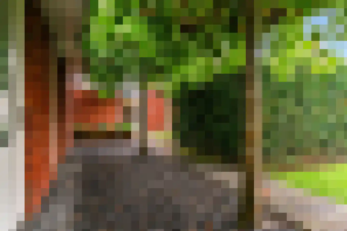 De Veenhoop 11 Berkhout thumbnail 46