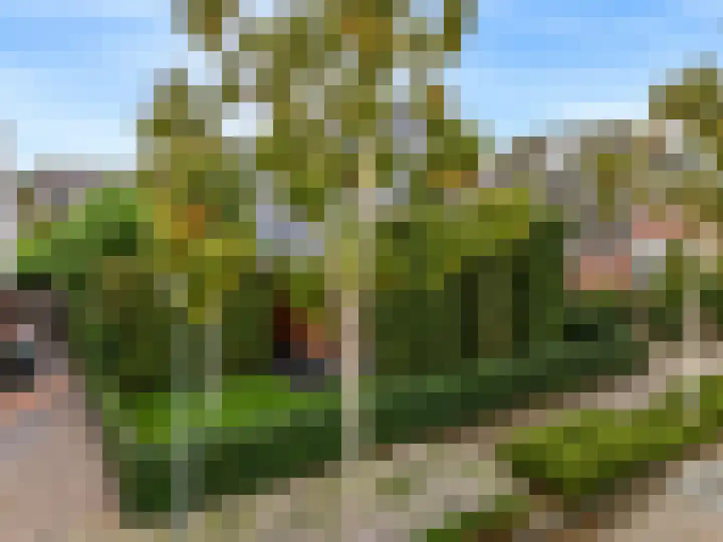 De Veenhoop 11 Berkhout thumbnail 48