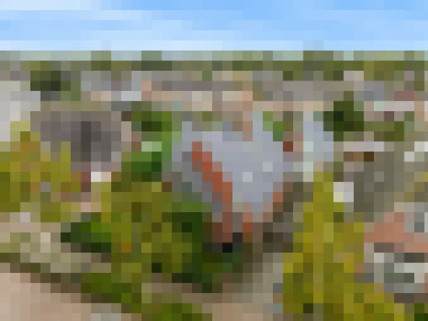 De Veenhoop 11 Berkhout thumbnail 49