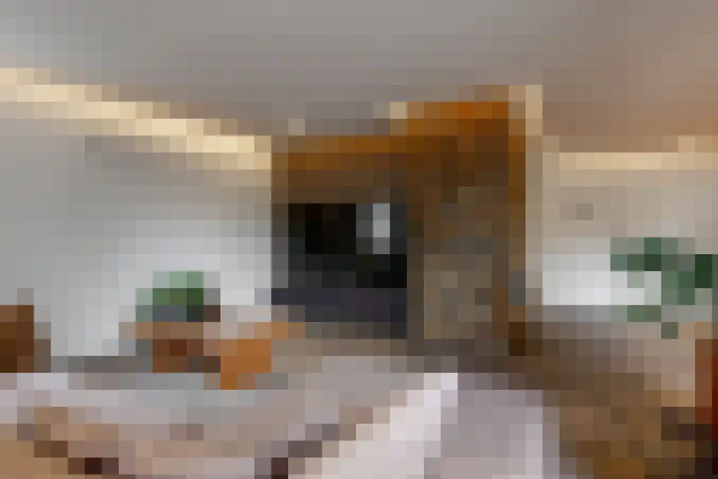 De Veenhoop 11 Berkhout thumbnail 6