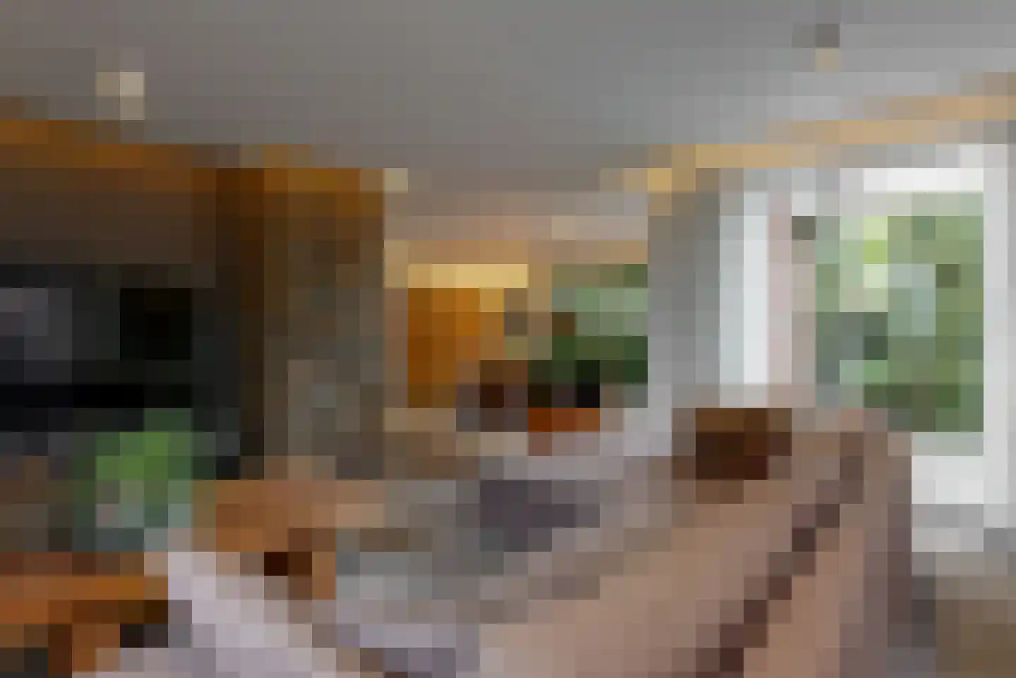 De Veenhoop 11 Berkhout thumbnail 7