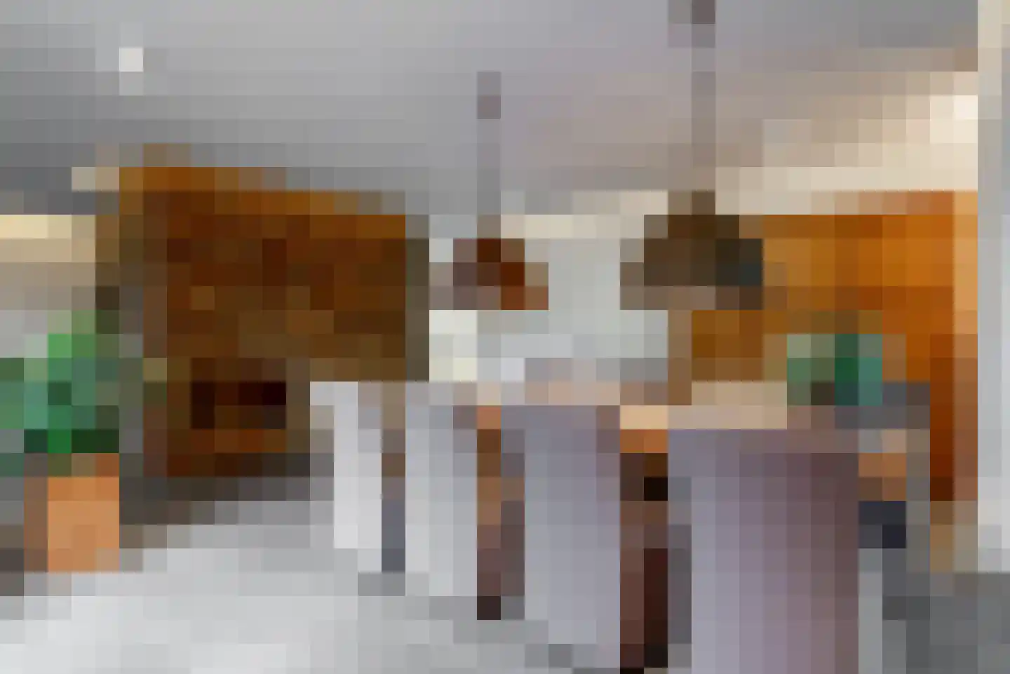 De Veenhoop 11 Berkhout thumbnail 9