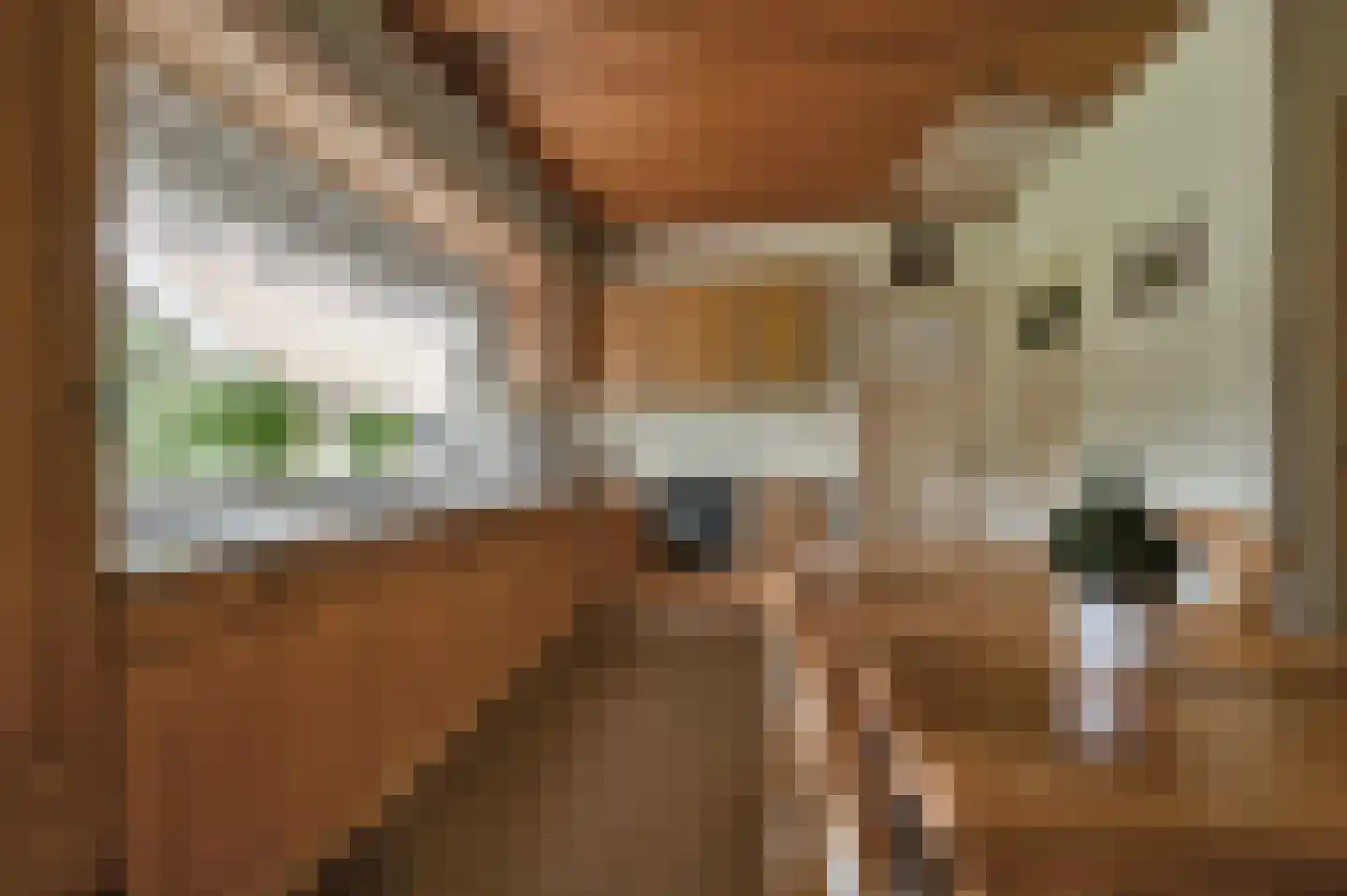 De Veenhuis 2 Nijkerk thumbnail 12