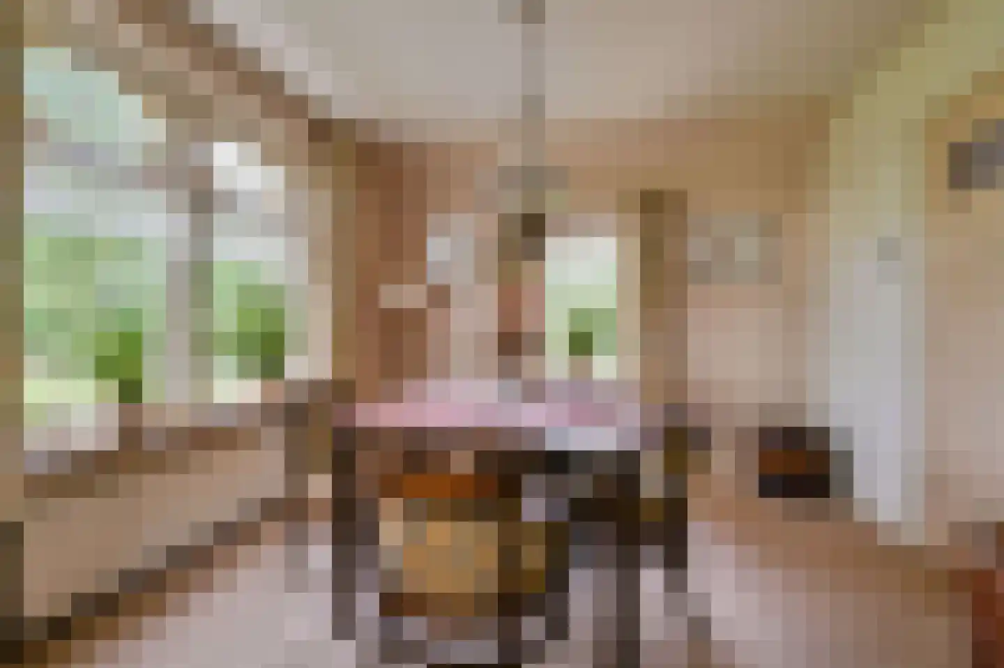 De Veenhuis 2 Nijkerk thumbnail 14