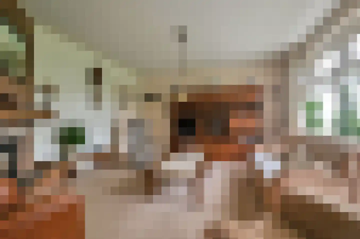 De Veenhuis 2 Nijkerk thumbnail 15