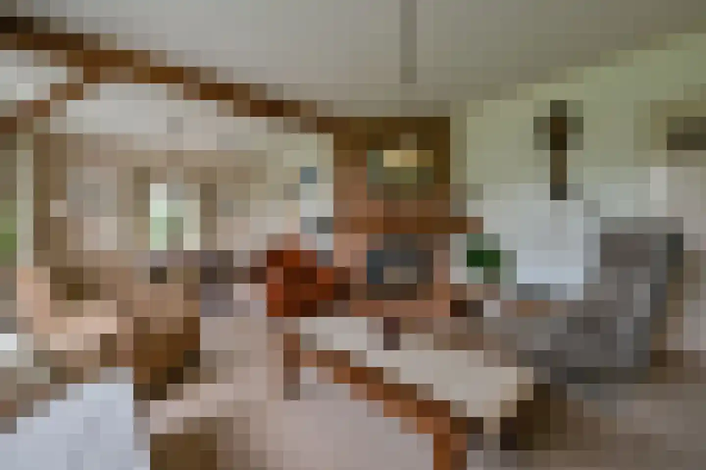 De Veenhuis 2 Nijkerk thumbnail 16