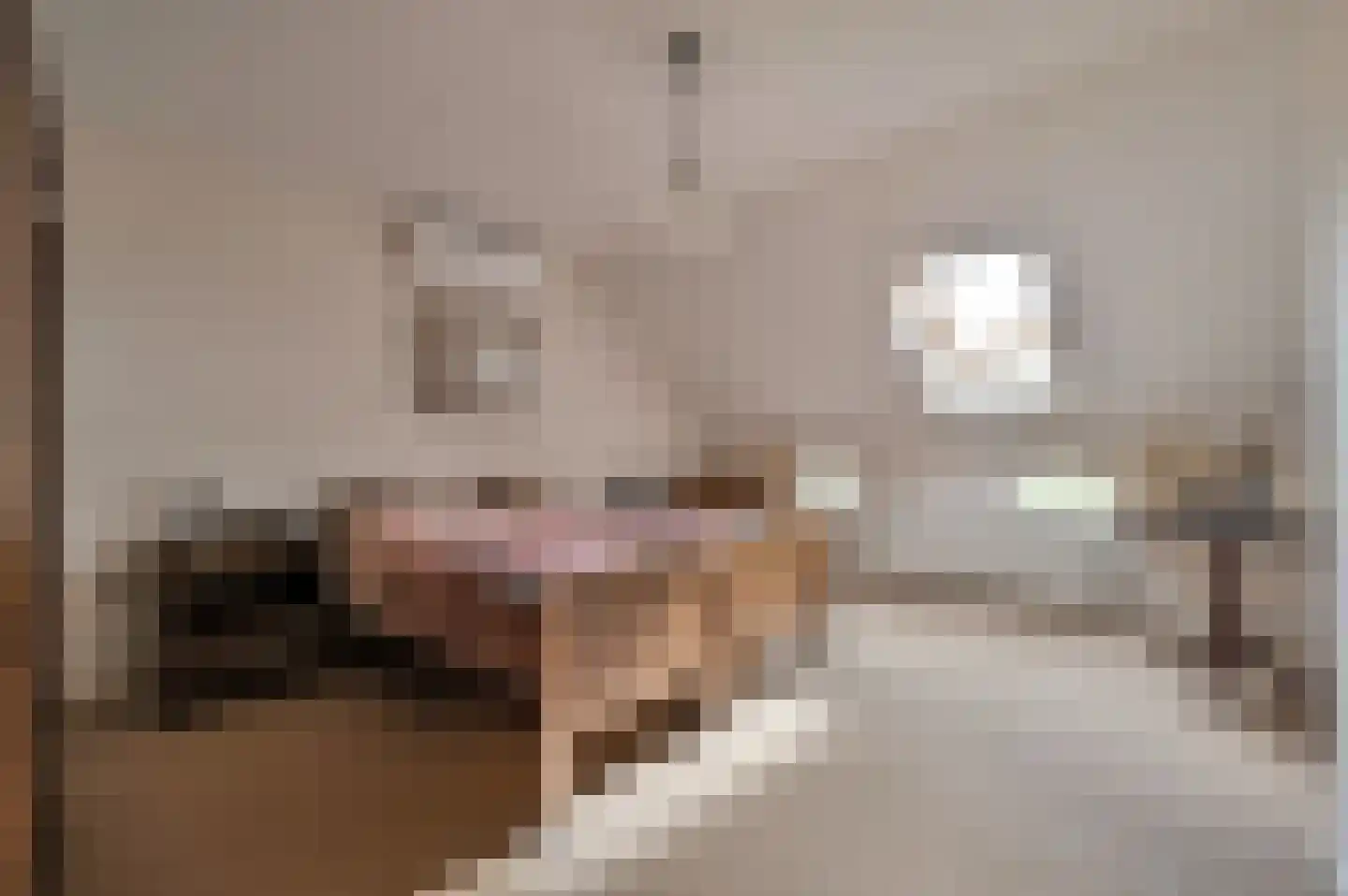 De Veenhuis 2 Nijkerk thumbnail 18