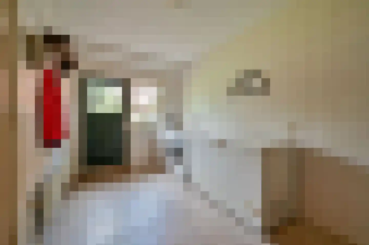 De Veenhuis 2 Nijkerk thumbnail 21