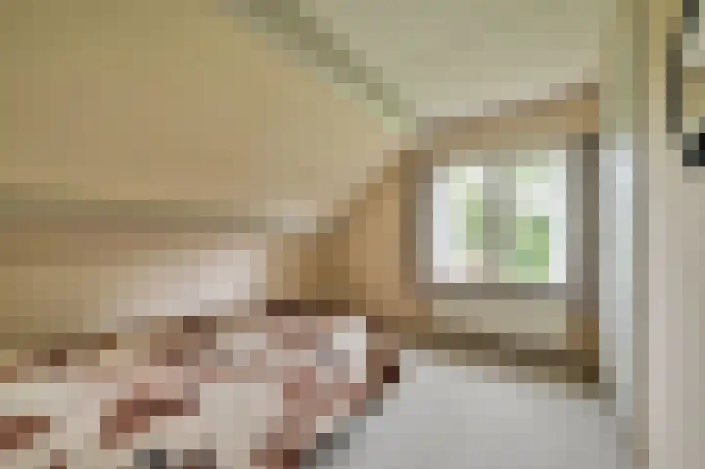 De Veenhuis 2 Nijkerk thumbnail 25