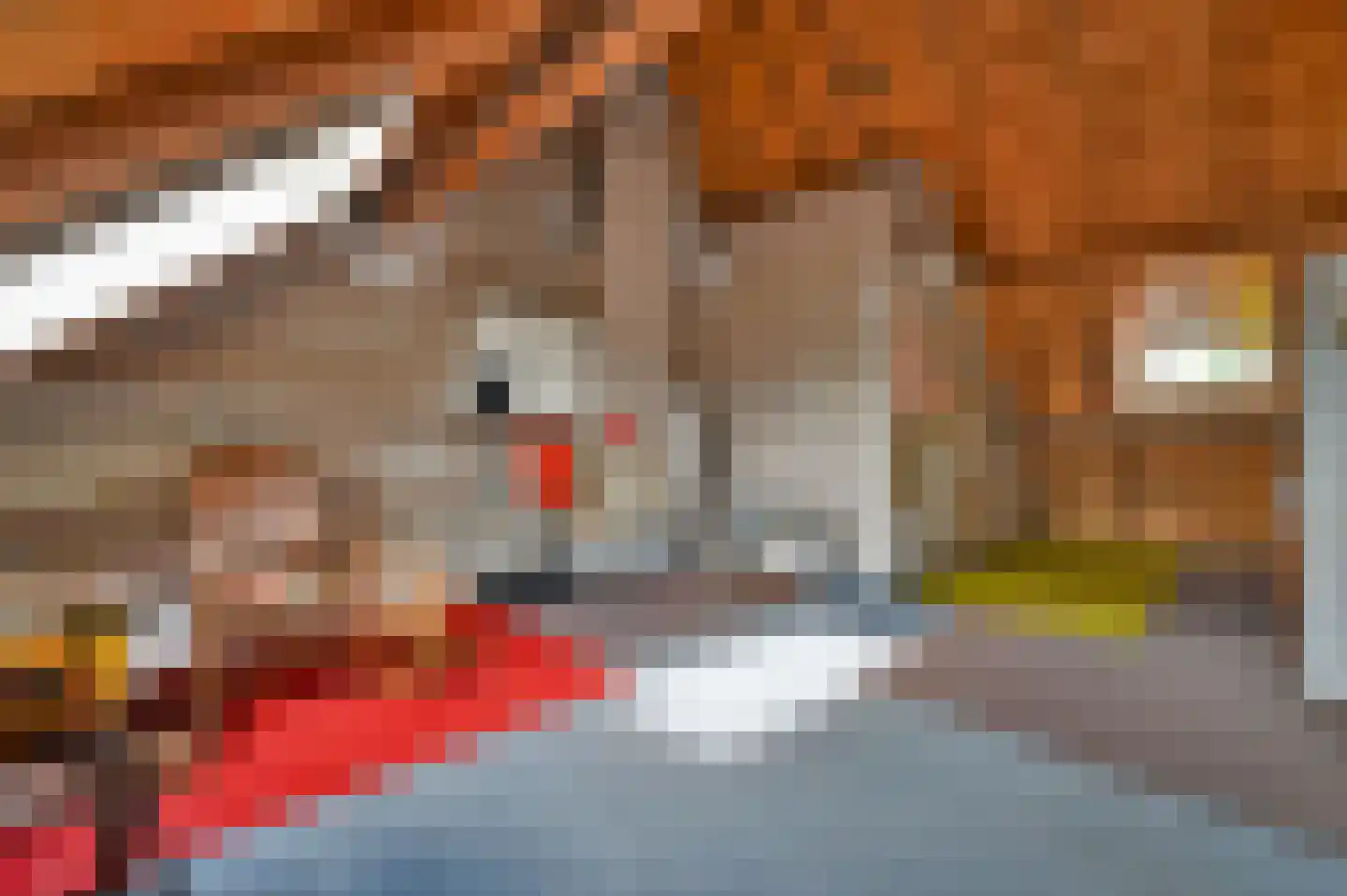 De Veenhuis 2 Nijkerk thumbnail 28
