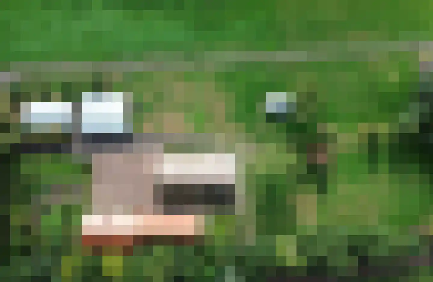 De Veenhuis 2 Nijkerk thumbnail 42