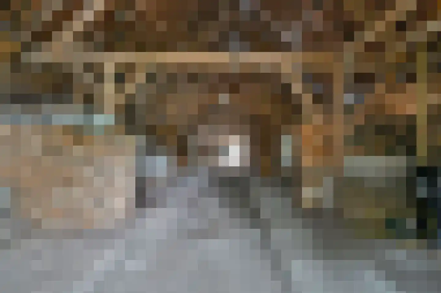 De Veenhuis 2 Nijkerk thumbnail 47