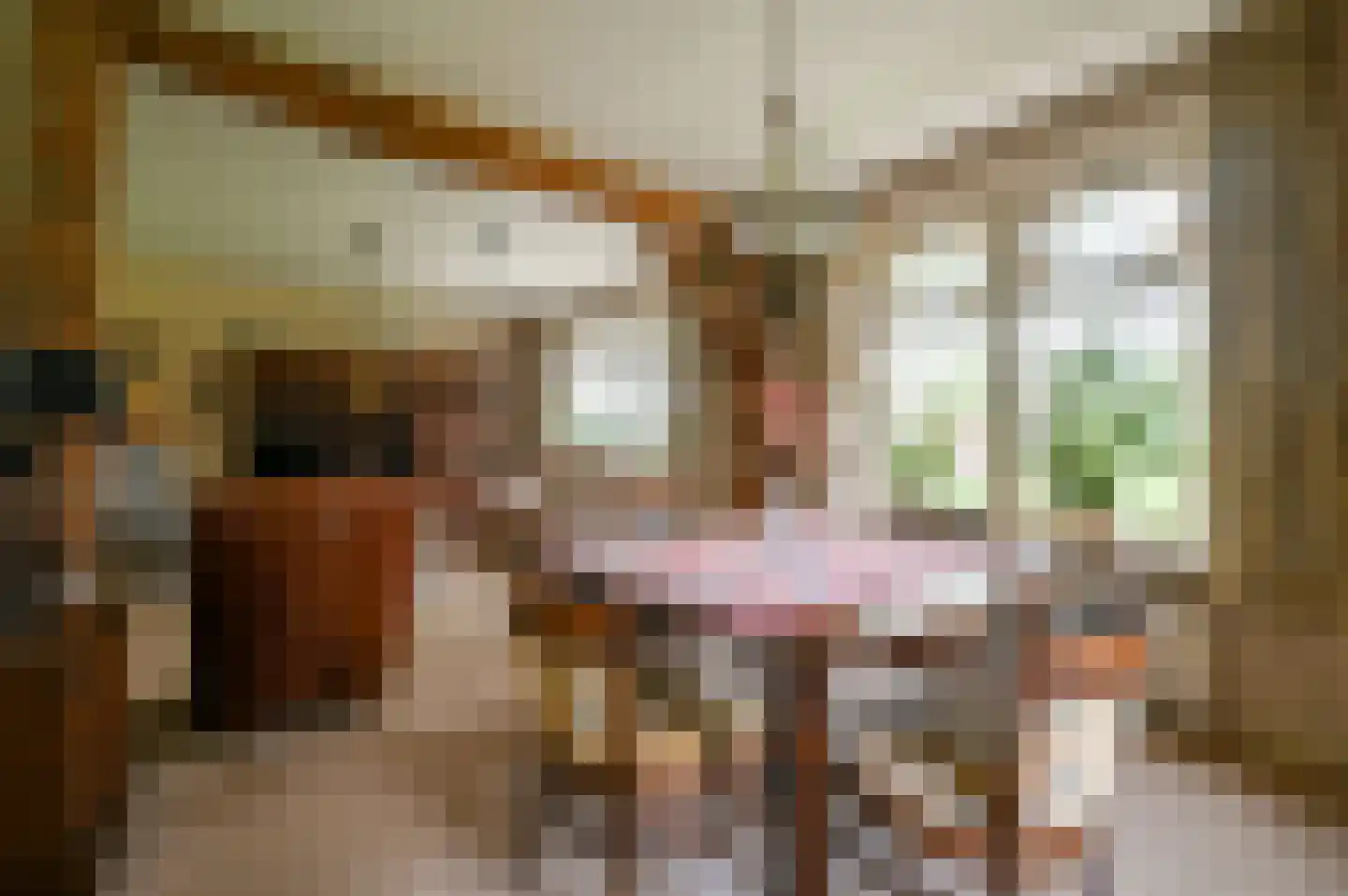 De Veenhuis 2 Nijkerk thumbnail 5