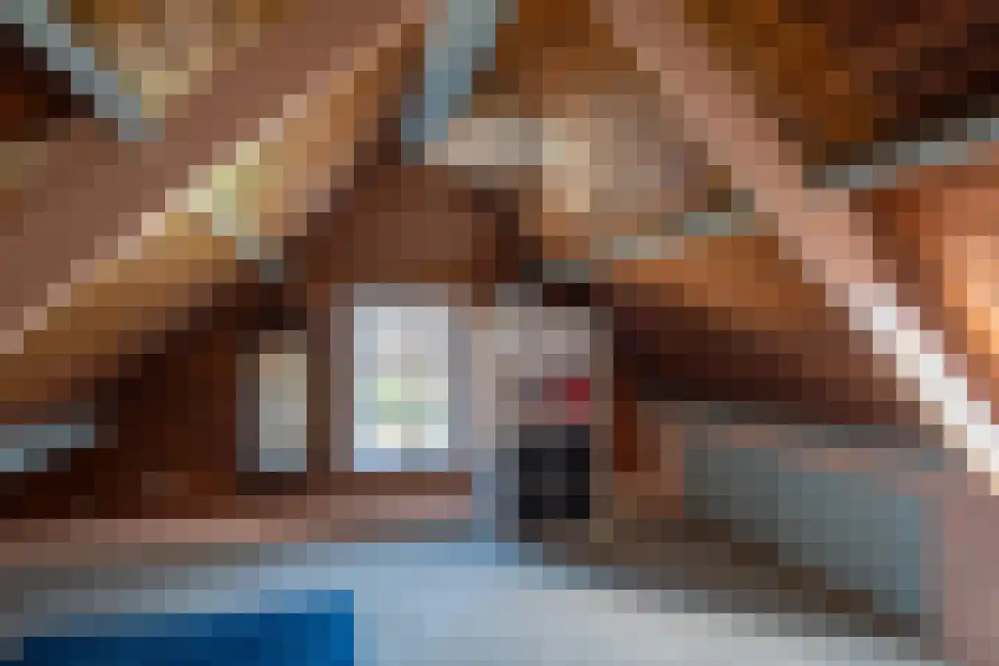 De Veenhuis 4 Nijkerk thumbnail 16