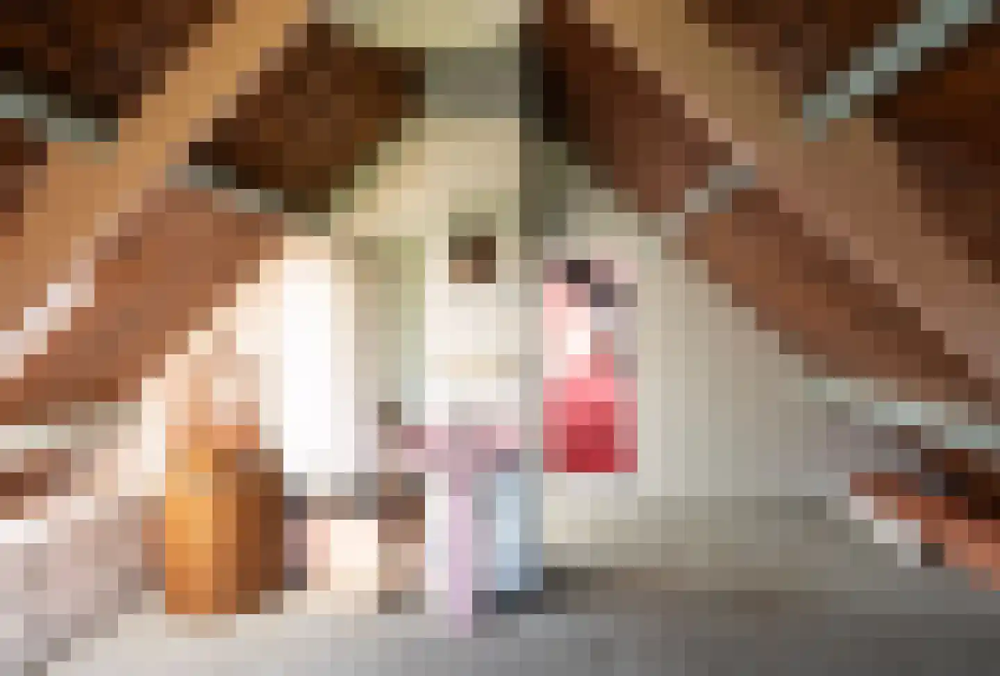 De Veenhuis 4 Nijkerk thumbnail 18